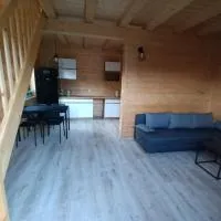 Domek 6 os Oaza Kaszubska Studzienice, hotel i Studzienice