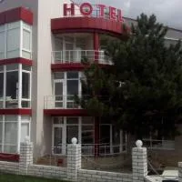 Hotel Paulina, hotelli kohteessa Făleşti