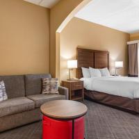 Comfort Inn & Suites at Stone Mountain