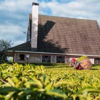 The Tea Cottage, hotel in Karatina