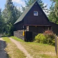 domki nad jeziorem, las, do 10 osób jezioro Wilczyńskie Budzisławskie - domek letniskowy osobno ogrodzony, ogrzewany mile widziane pieski, zwierzeta- wielkopolska, 62-550 Zygmuntowo gm Wilczyn, готель у місті Zygmuntowo