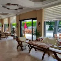 Altinersan Hotel, hotel en Didim