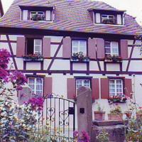 Maison alsacienne sur 2 niveaux, hôtel à Soultzbach-les-Bains
