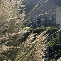 Skadar Lake Apartment -Karolina, hotel a Vranjina