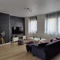 Le Purple, appartement de standing en hypercentre, hotel v destinaci Sarreguemines