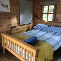 Bryn Fach Log Cabin، فندق في Mochdre
