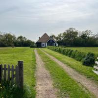 a house in a field with a fence and a dirt road at Zuid Haffel, Den Burg