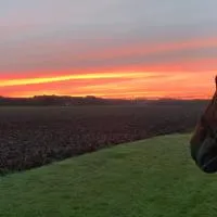 Onze boerderij، فندق في Hoogersmilde