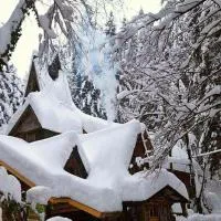Holiday Park Zelenkovac, Hotel in Podrašnica