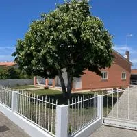 Moradia alegre no centro da Vila da Tocha., hotel en Tocha