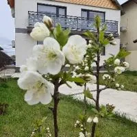 Casuta Noastra - Sulina, hotel u gradu Sulina