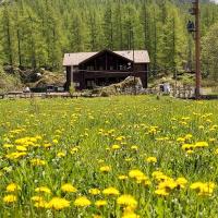 Chalet Rosa dei Monti