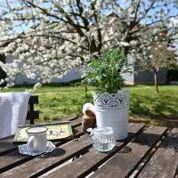 Jázmin apartmanok, hotel i Pogány