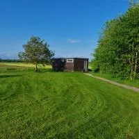 Tiny house ''De Veenpolder'', Hotel in De Veenhoop
