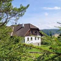 Pension Helena Honesová, hotell sihtkohas Horská Kvilda