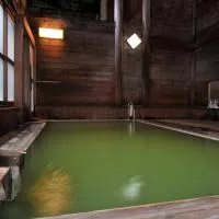 Kumanoyu Hotel, hotel en Yamanouchi