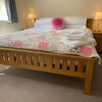 Wellington view one en suite shower and super king bed، فندق في ويلينغتون