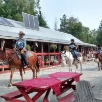 K!cking Mule Guest Ranch, hotel a Tehkummah