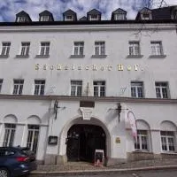 Hotel Sächsischer Hof, hótel í Scheibenberg