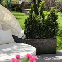 Ameiserhof Guesthouse, hotel in Collalbo