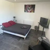 Le Leone - Wi-Fi, hotel a Paroy-sur-Tholon
