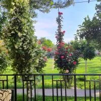 Margjelo Stay - Twin Houses in the Garden, hotel en Shkodër