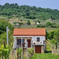 Jera Pince és Vendégház – hotel w mieście Somlóvásárhely
