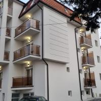 Vila Pčelica Petra, hotel i Sokobanja