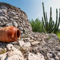 - Trullo degli Ulivi - Oasi Naturale nel Salento