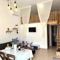 Irene’s house, hotel en Koskinou