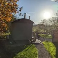 Hut In The Glade, Shepherds Hut with Hot Tub, hotel di Fryup