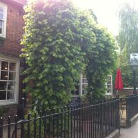 The Admiral Hornblower, hotel en Oakham