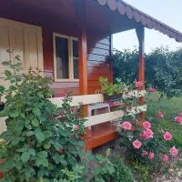 Pensiunea Raluca, hotel i Mahmudia