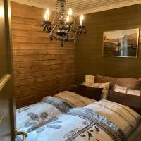 Lun og koselig hytte med sauna på Filefjell, хотел в Tyinkrysset