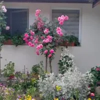 Casa Luminița、エシェルニツァのホテル