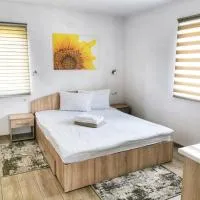 Casa Milla, hotel en Sovata