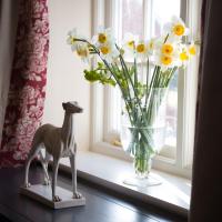 The Loddon Swan, hotel in Loddon