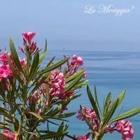 La Meriggia B&B, hotell i Pisciotta