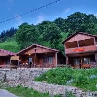 Aslan Dağ Evleri, hotell i Uzungöl