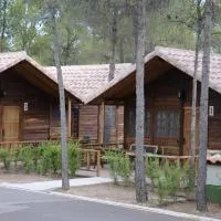 Cabañas Valle del Cabriel, hotel din Villatoya