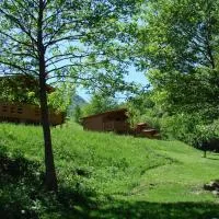 Wood Cabins in the heart of Transylvania, hotel en Colţeşti