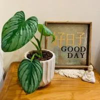 Good Days 民宿編號2729, hotel en Yuli