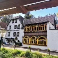 Waldhotel Pfarrmühle, hotel em Eisenberg