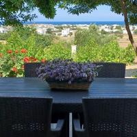 Skyros BnB, Calliope in Molos, viešbutis mieste Skiras, netoliese – Skyros Island National oro uostas - SKU