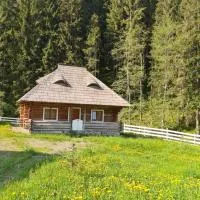 Cabana Păstrăvului, hotel a Izvoarele Sucevei