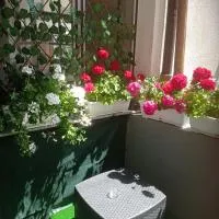 Studio apartman Sokak, hotel Bihácsban