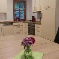 Ferienwohnung Jung, отель в городе Hohenburg