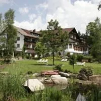Hotel Waldblick Kniebis, hotel din Kniebis