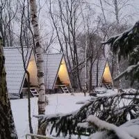 Vigio Brasta camping, hotel en Elektrėnai