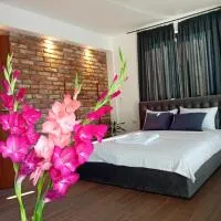 Belov Rooms and Apartments, hotel en Demir Kapija